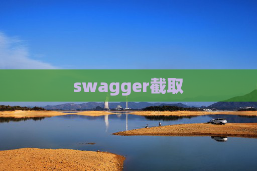 swagger截取 swagger截取